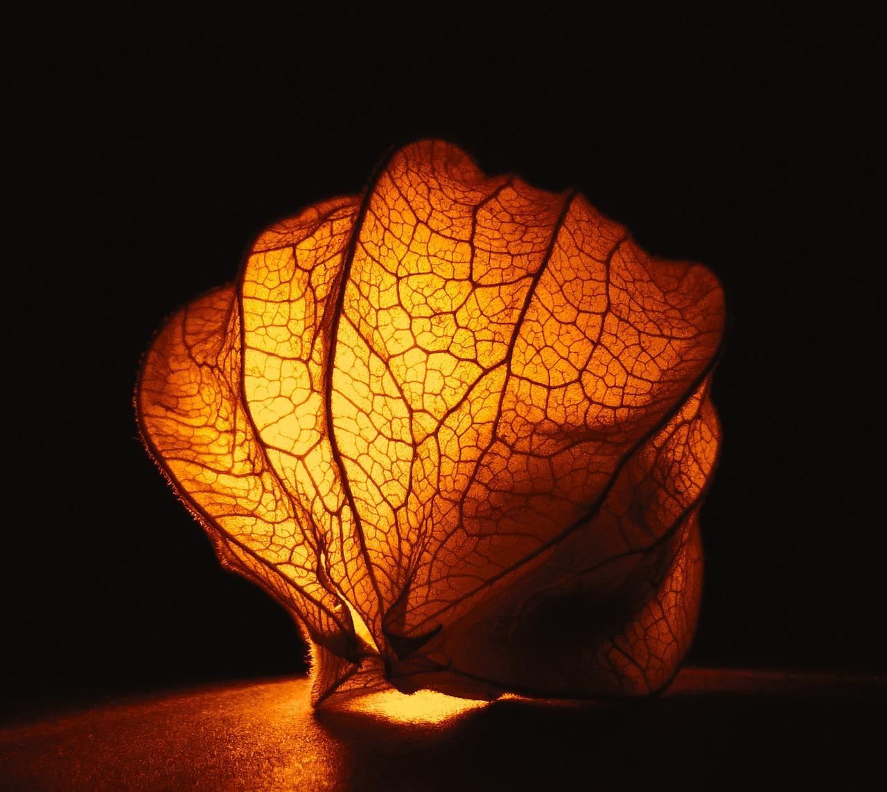 4. 古法酿造工艺