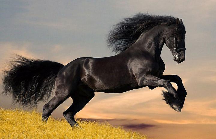 英国房产黑马伯明翰