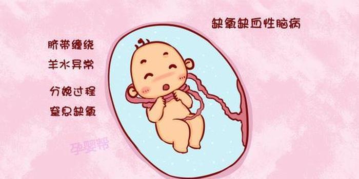 核保小知识之新生儿缺氧缺血性脑病