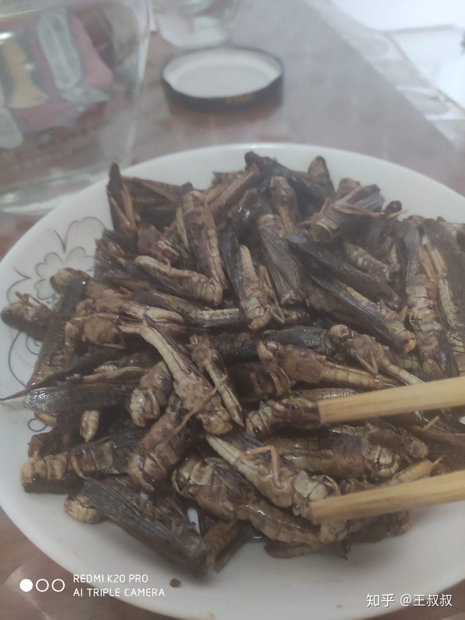 巴基斯坦蝗虫进入交配繁殖阶段蝗灾比预想严重蝗灾进入中国的可能性有