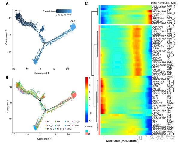 单细胞转录组测序单细胞测序教你玩转植物单细胞发文新思路！ 知乎