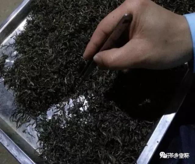 毛尖加工工艺_毛尖生产工艺流程_毛尖加工过程