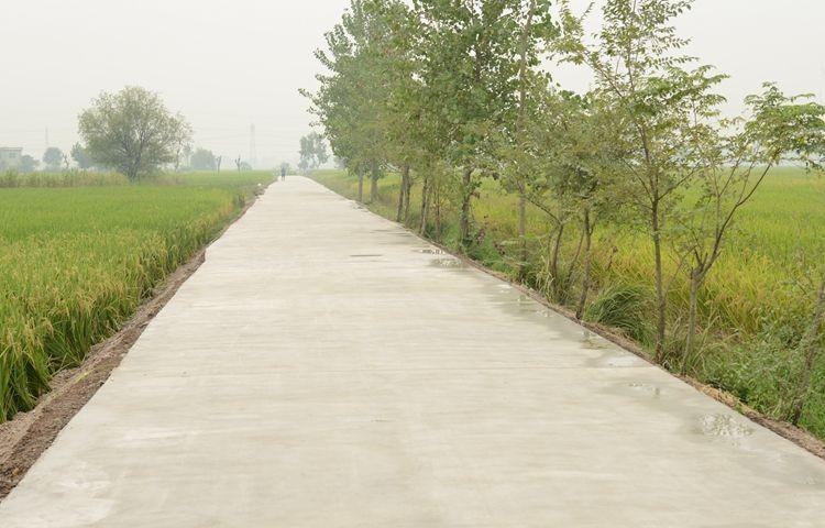 农民必须看农村道路2项调整这两个问题万万不可忽视