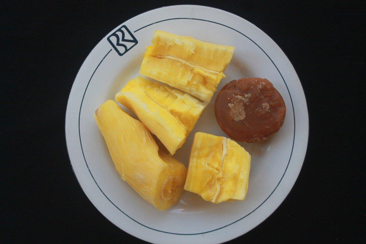 3. 木薯根系结构