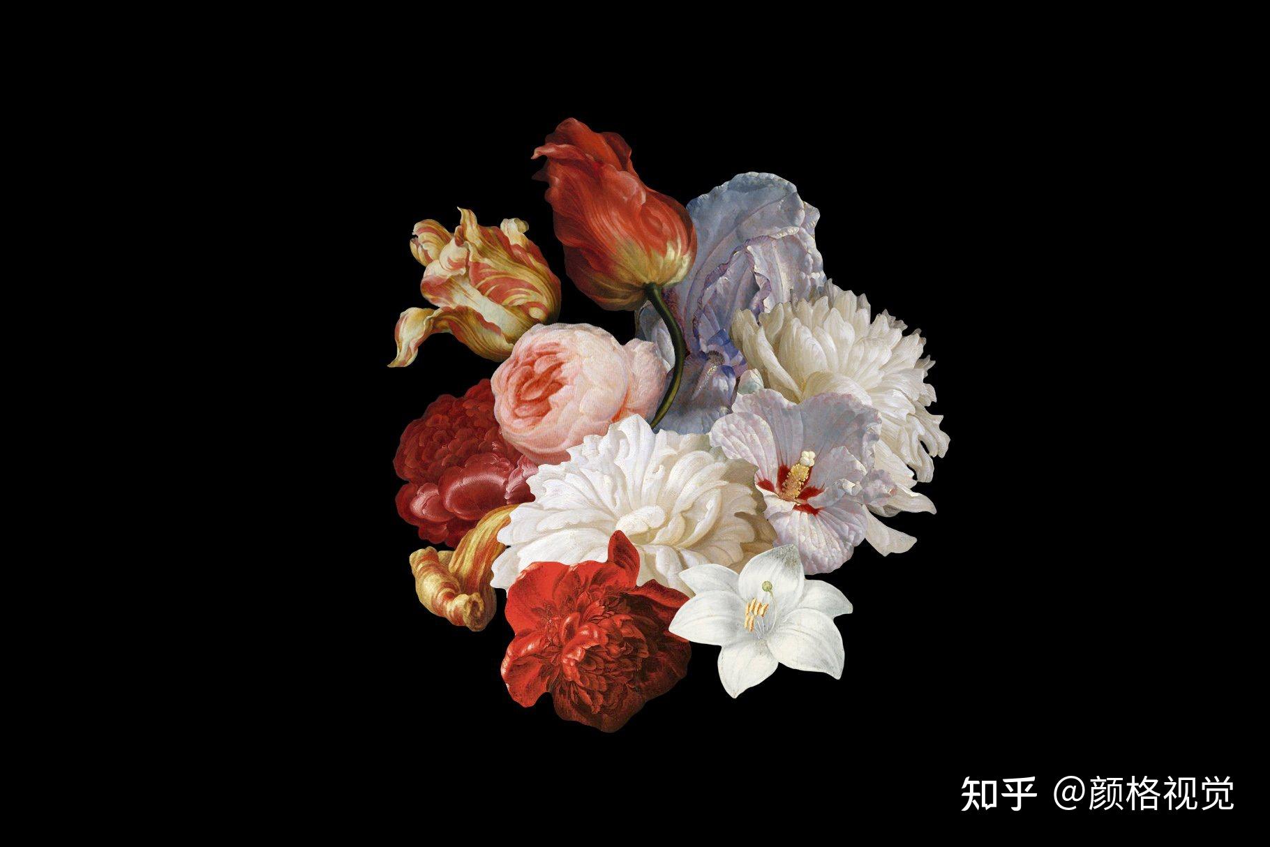 质感复古艺术宫廷拼贴鲜花植物花卉图案png免抠图片设计素材欣赏