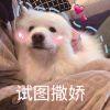 Zhihu profile picture for @voters