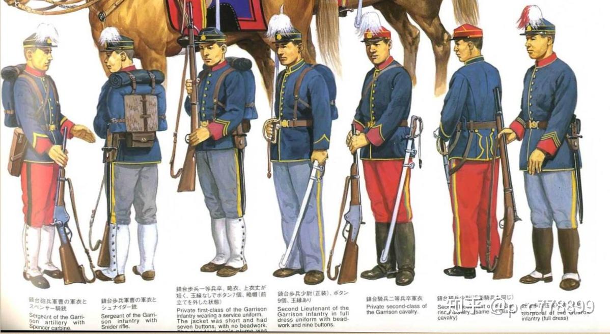 有没有大佬介绍一下日本明治前期军服袖章上的丝线数量和盘花数量所