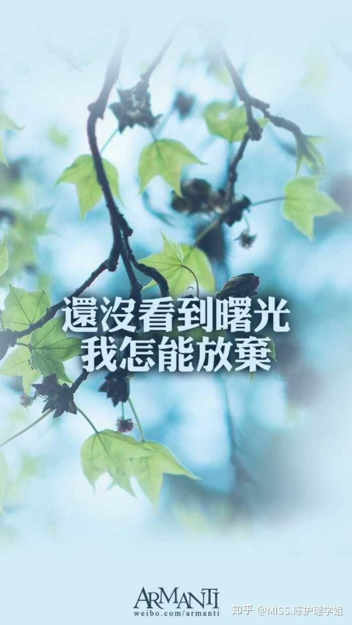 护理想考研可是家庭条件不允许