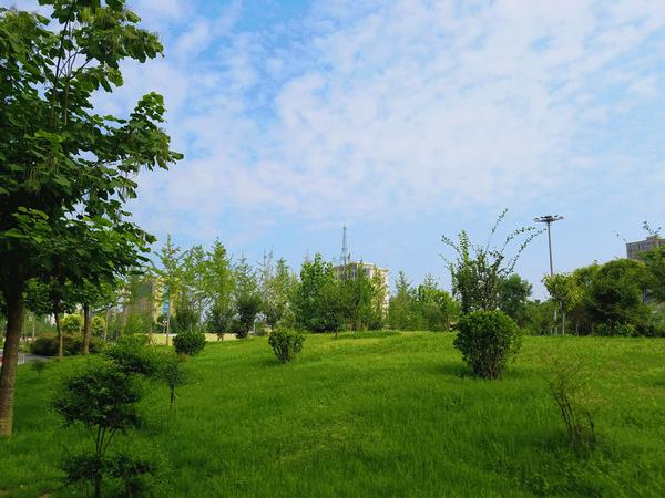 答案让99%的兰考人吃惊! - 知乎