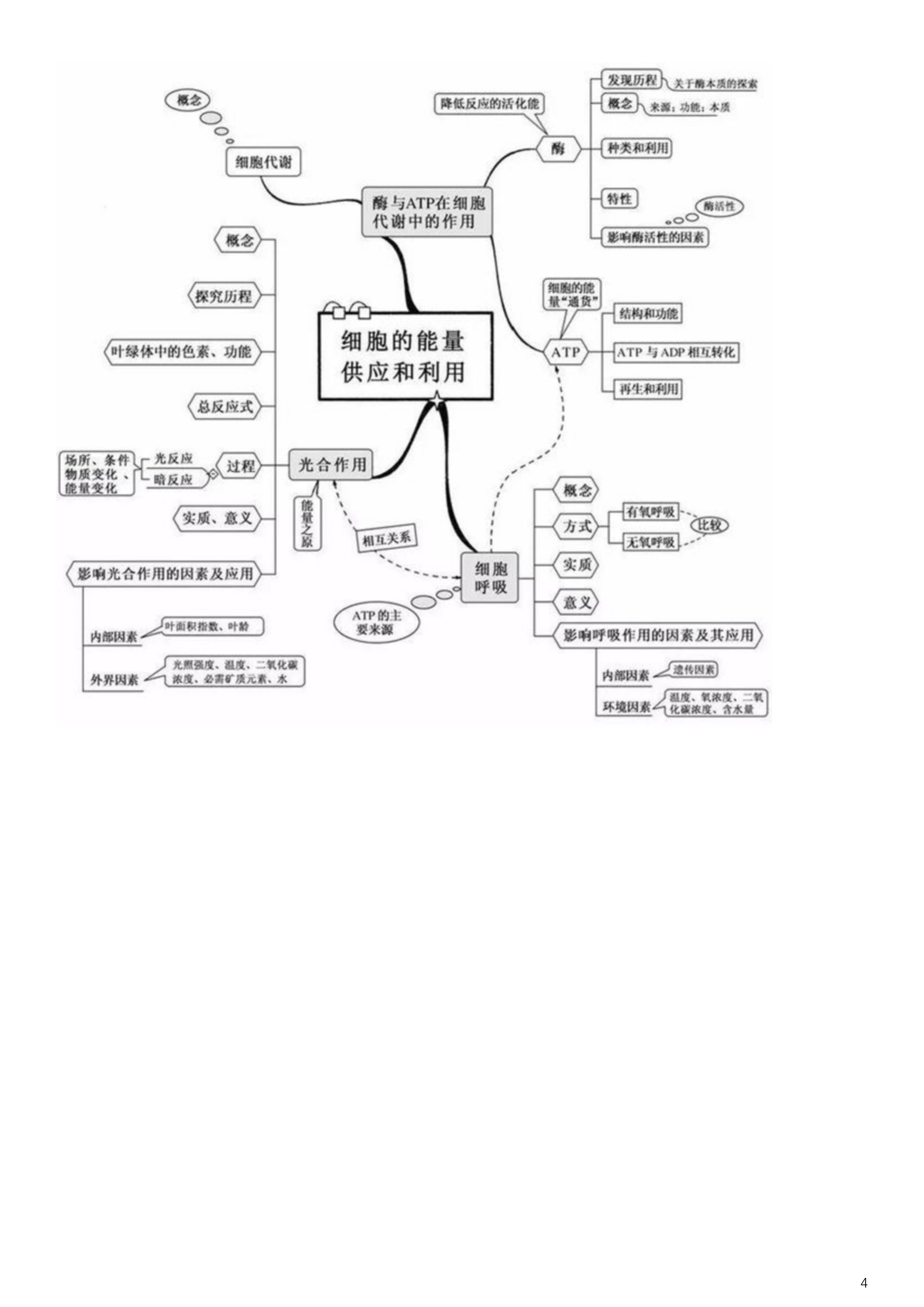 【高考生物】高中生物思维导图(一) 