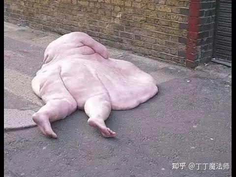 为什么胖人丁丁小有科学道理吗