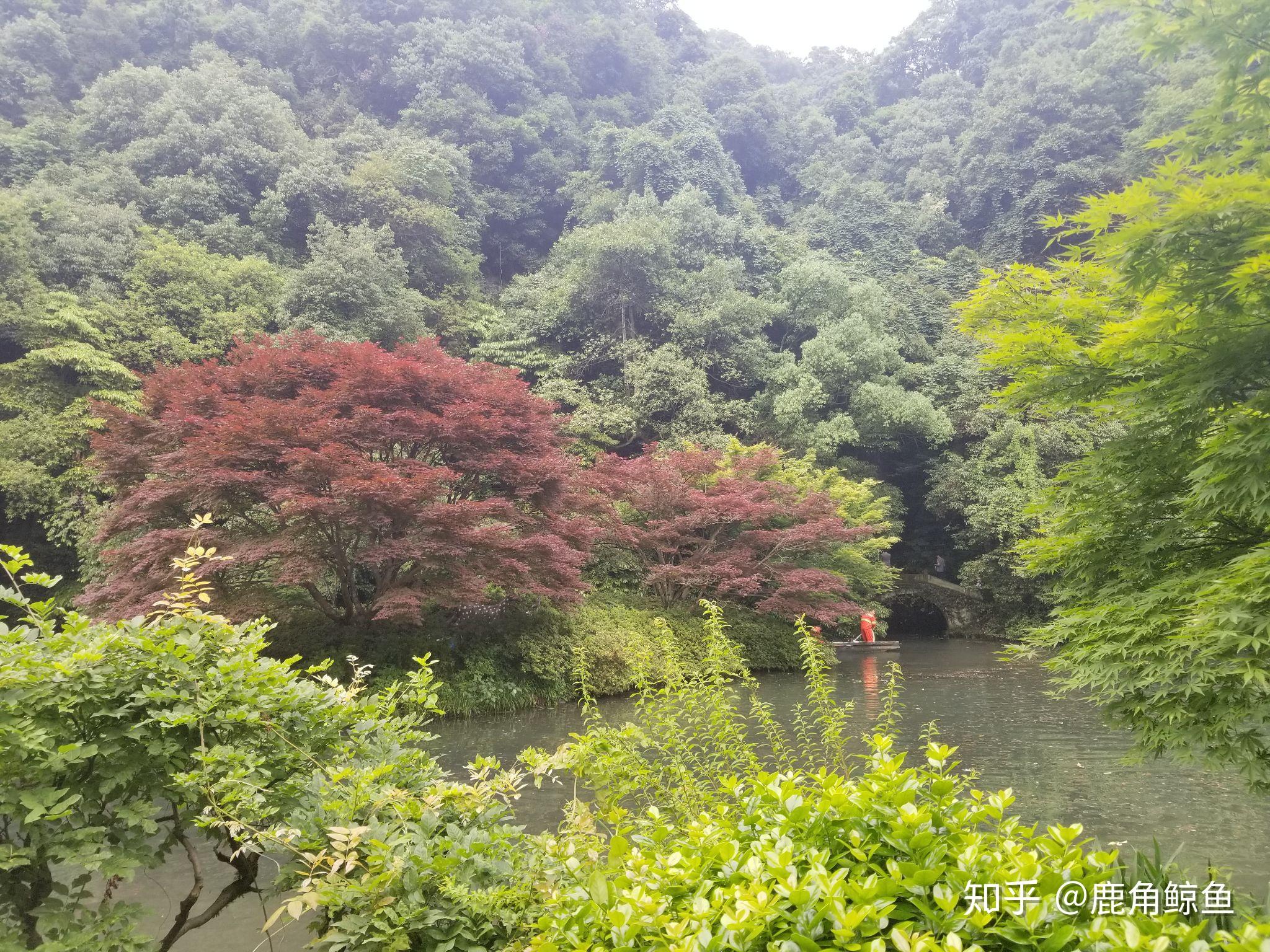 杭州有什么好玩的地方?