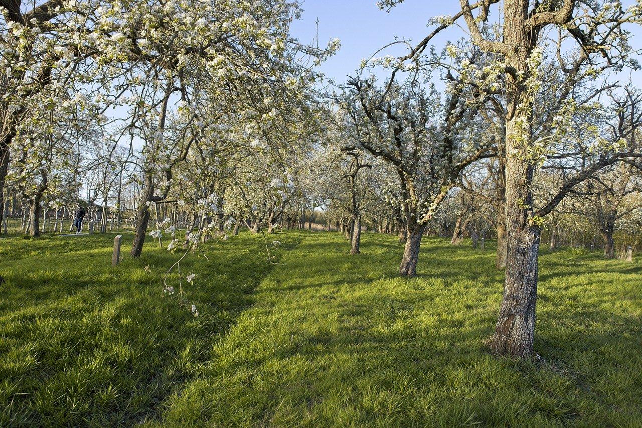 4. 水分管理要点