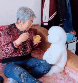 动图封面