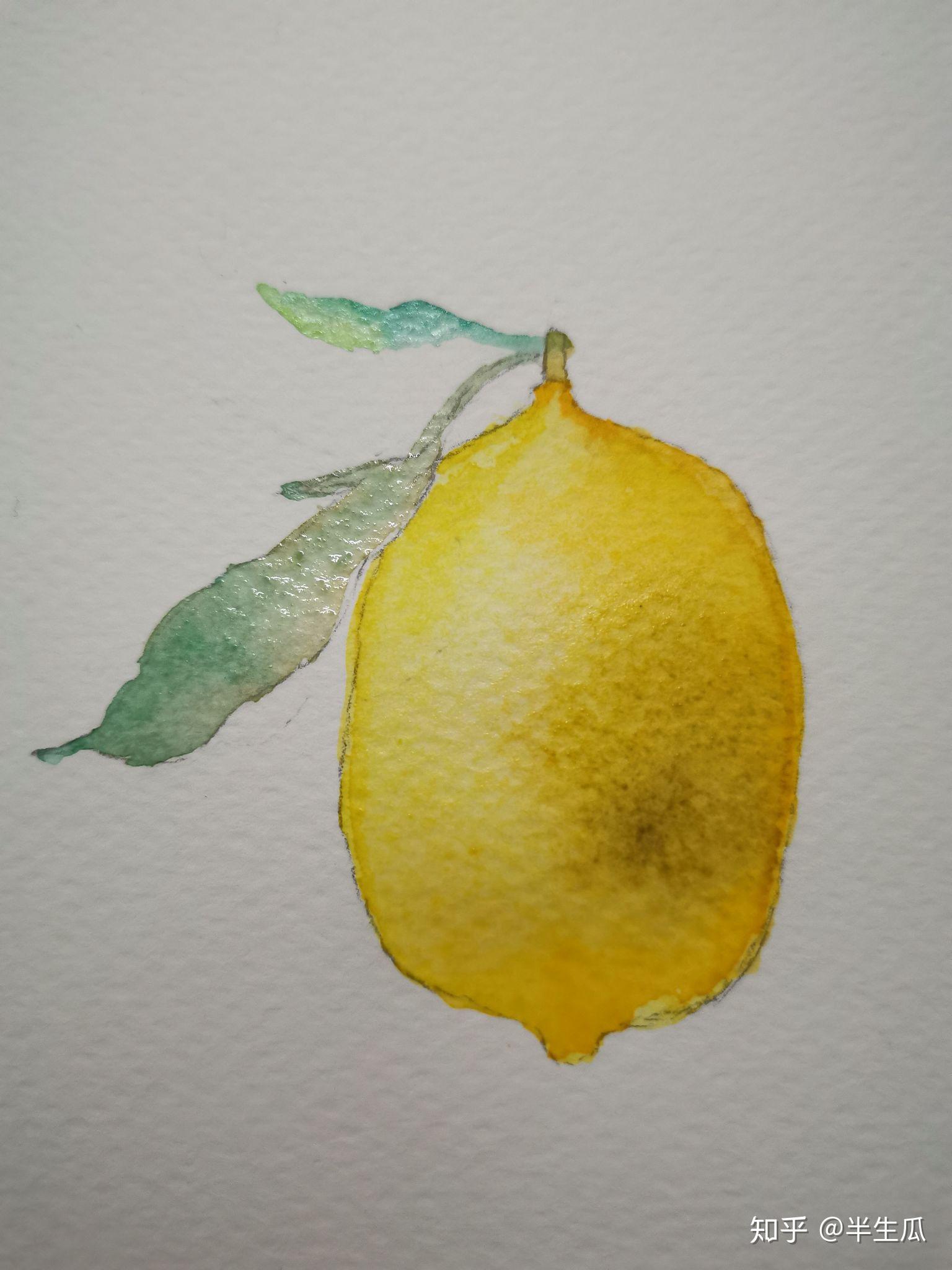 有哪些简单的水彩图片适合初学者临摹? - 知乎