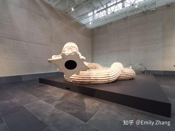 永生vs进化:谈徐震新展