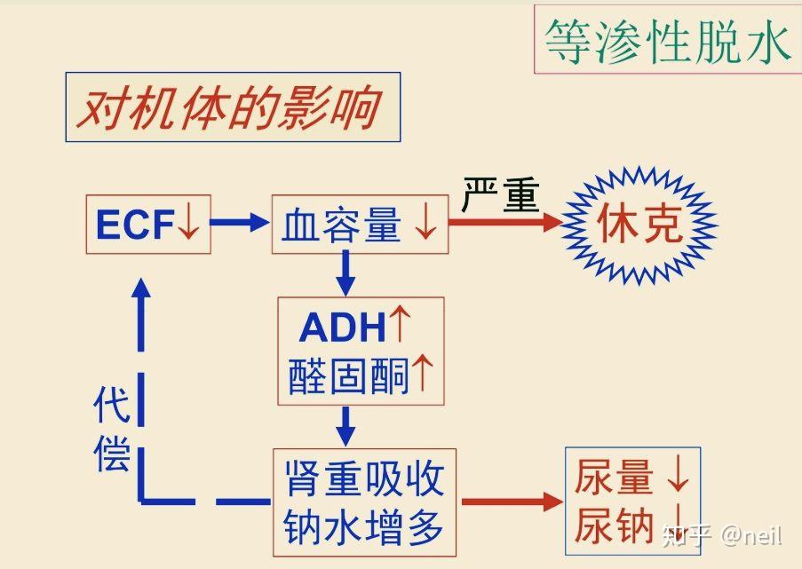 第一章 水,钠代谢紊乱