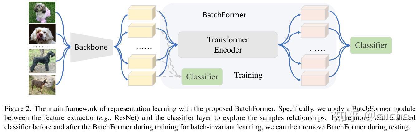 【读论文】Transformer即插即用性能组件：BatchFormer系列 - 知乎