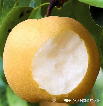 秋月梨和丰水梨的区别 - 知乎