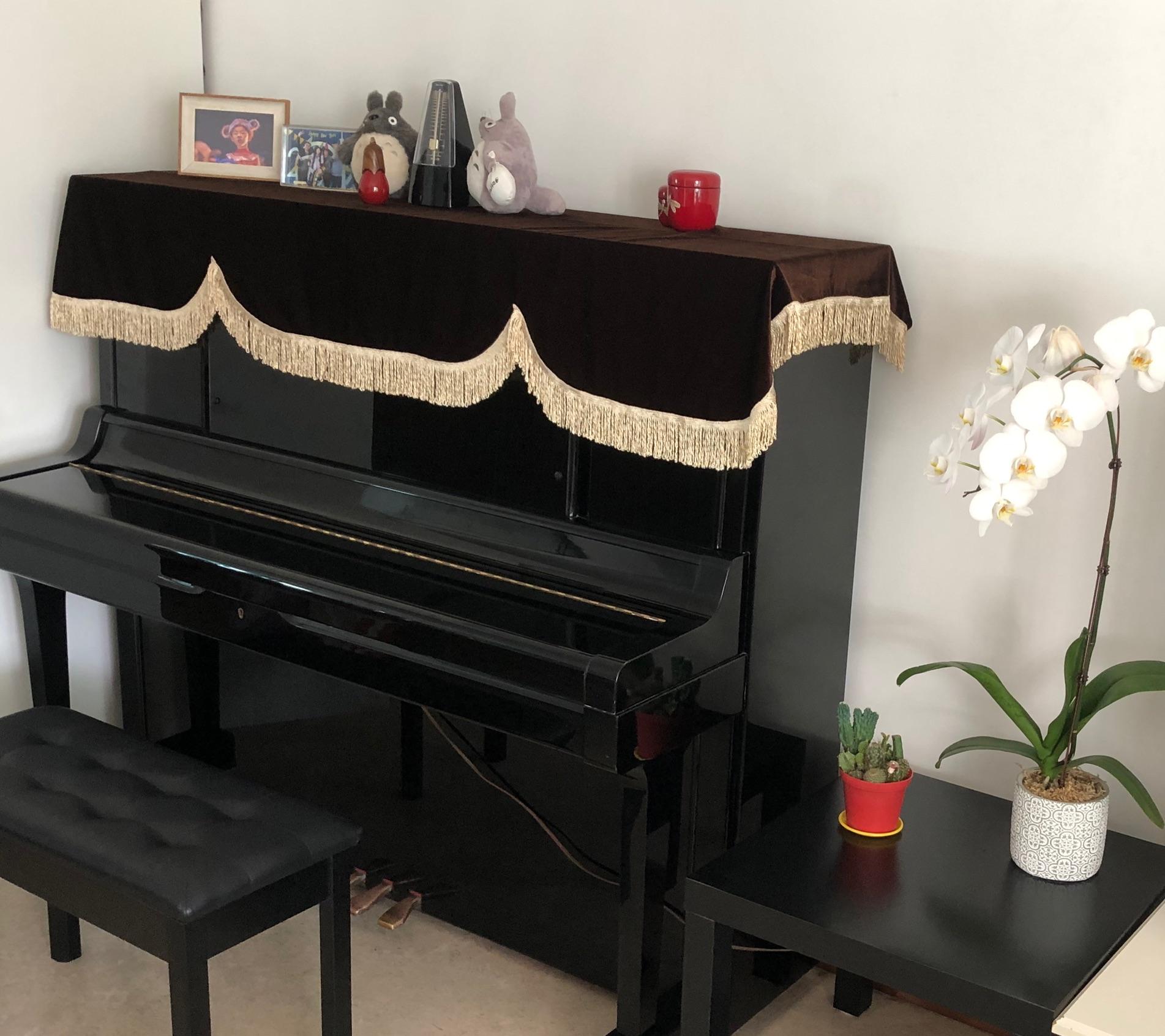 想让孩子学钢琴,是不是家里一定要买钢琴? - 知乎