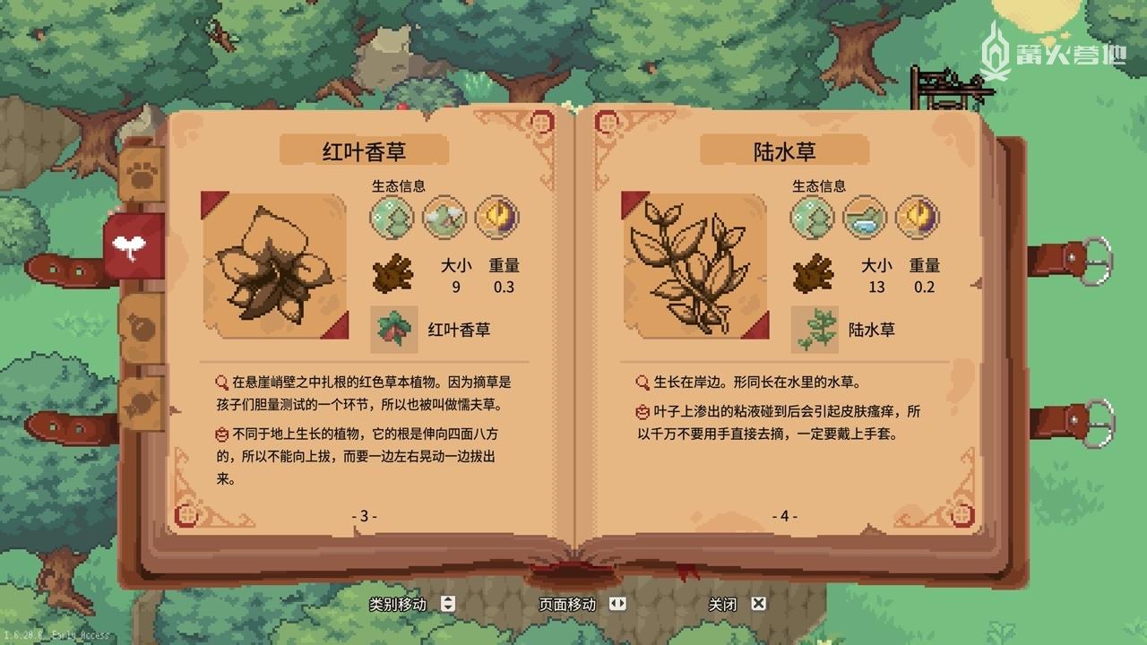 角色游戏中的亮点怎么写(角色游戏中的亮点怎么写的)