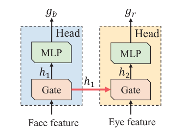 《A Coarse-to-Fine Adaptive Network for Appearance-Based Gaze Estimation ...