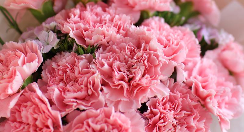 三八节送花吗 三八节为什么要送花给女性 三八节送花的理由 知乎