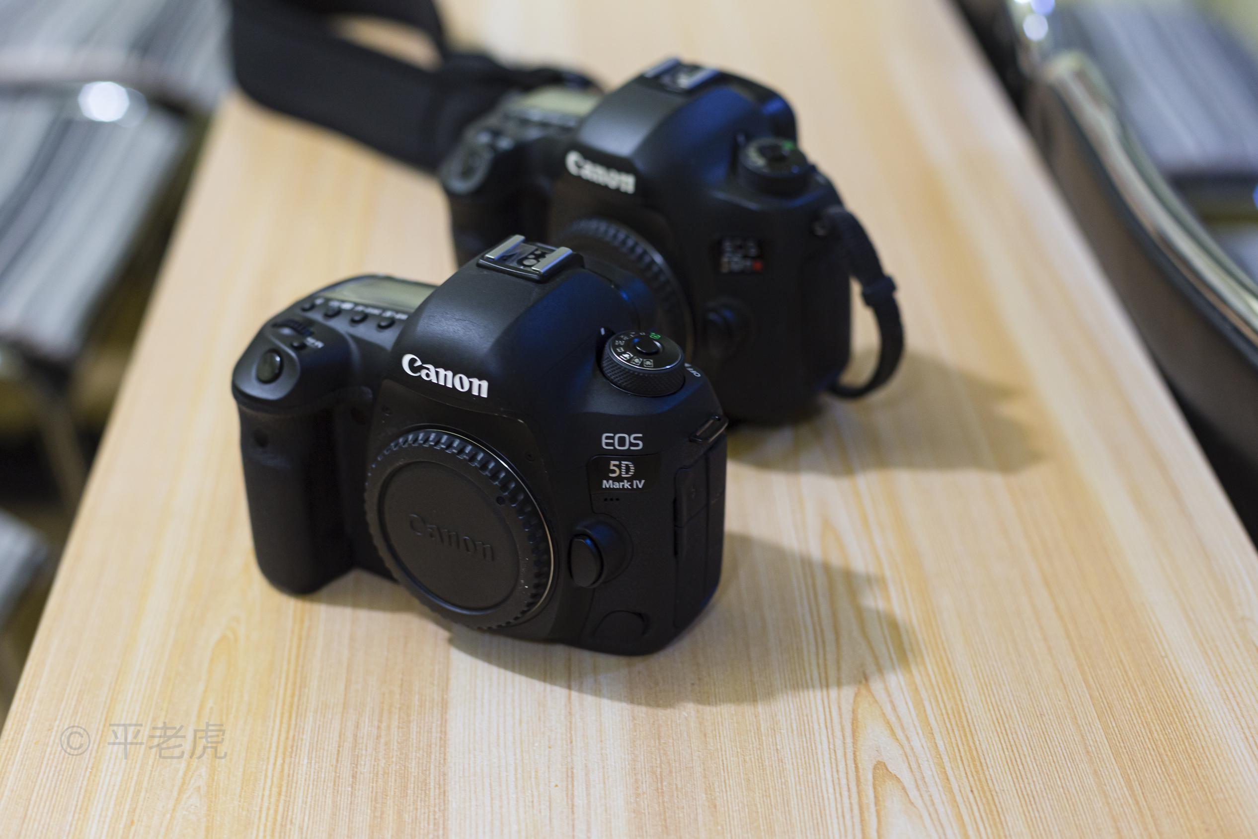 佳能全画幅5ds和5d4和r6如何选择对比尼康z系列哪位大神可以分析一下