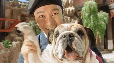 拼多多无货源店群占尽优势为何你总做不好