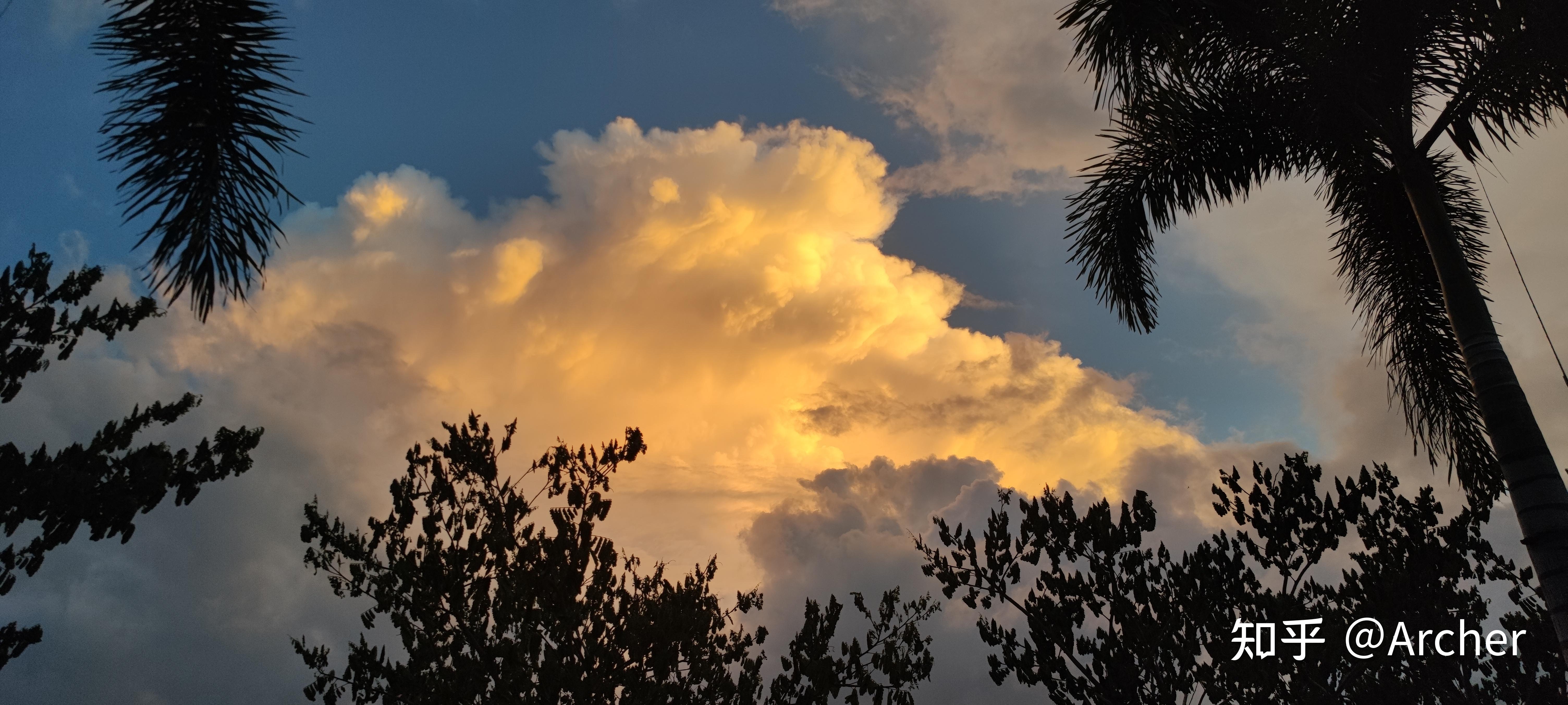 8.29从今天开始写文章 - 知乎