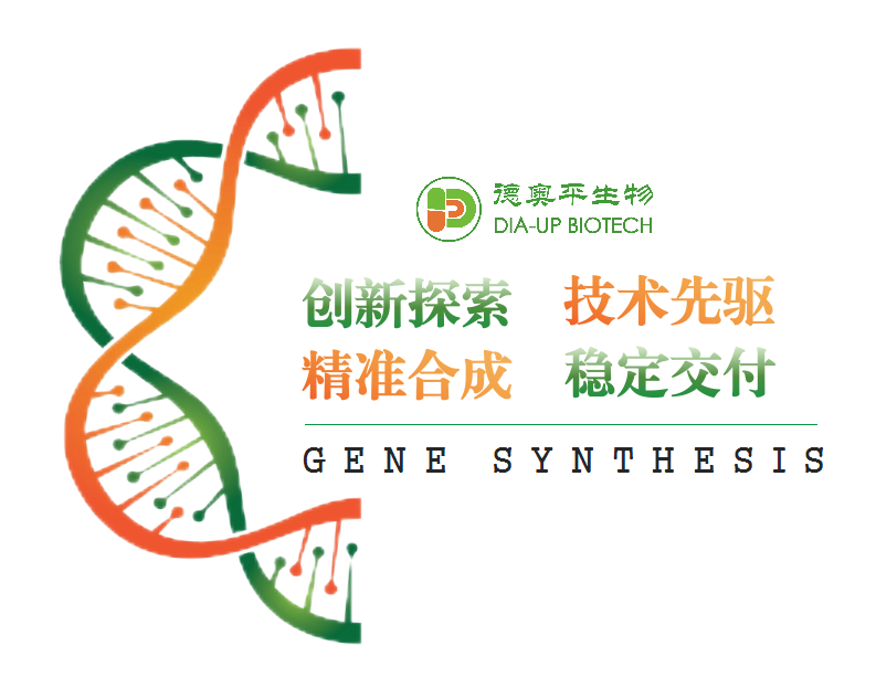 让科研人"轻装上阵"|德奥平高难度,大片段基因合成服务全面升级!