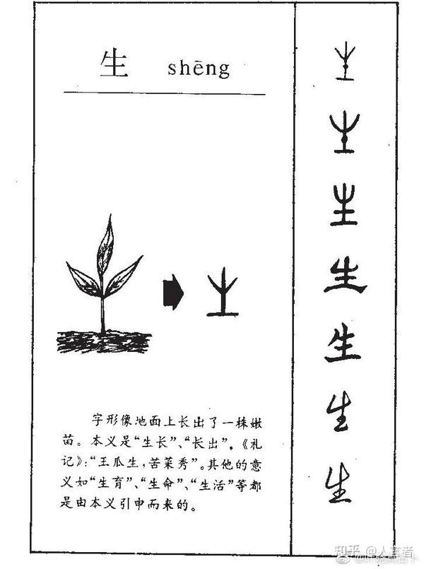 神奇的汉字之生世 - 知乎