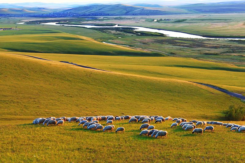 地区的控制权,然后在1689年匆匆和俄罗斯签署了《中俄尼布楚条约》,将