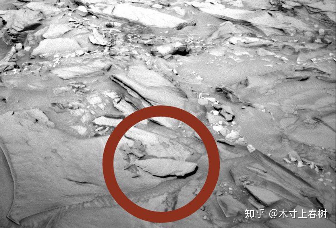 如何看待美国科学家通过大量火星图像分析称在火星发现昆虫
