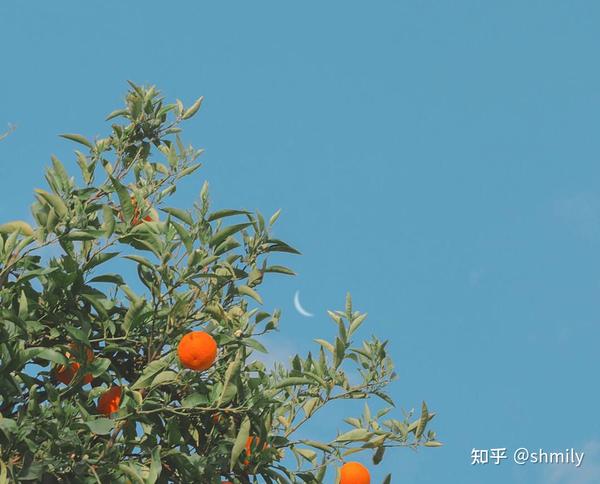 重倒覆辙什么意思 重蹈覆辙的爱情 重蹈覆辙的结果就是
