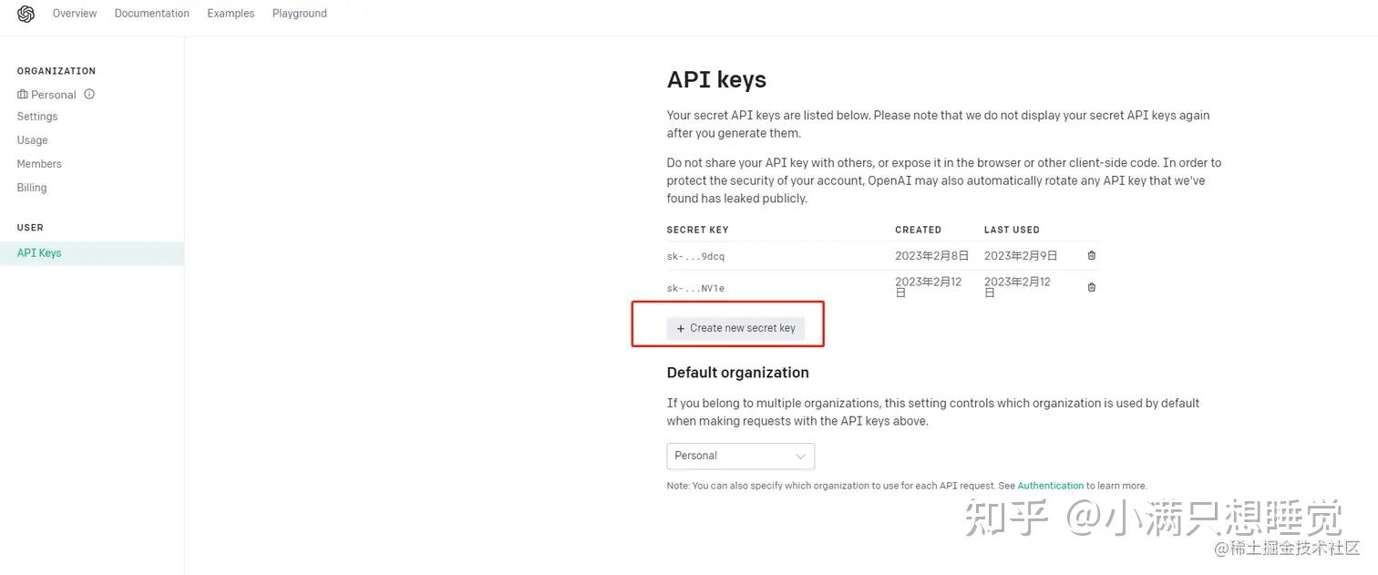  chatgpt api 