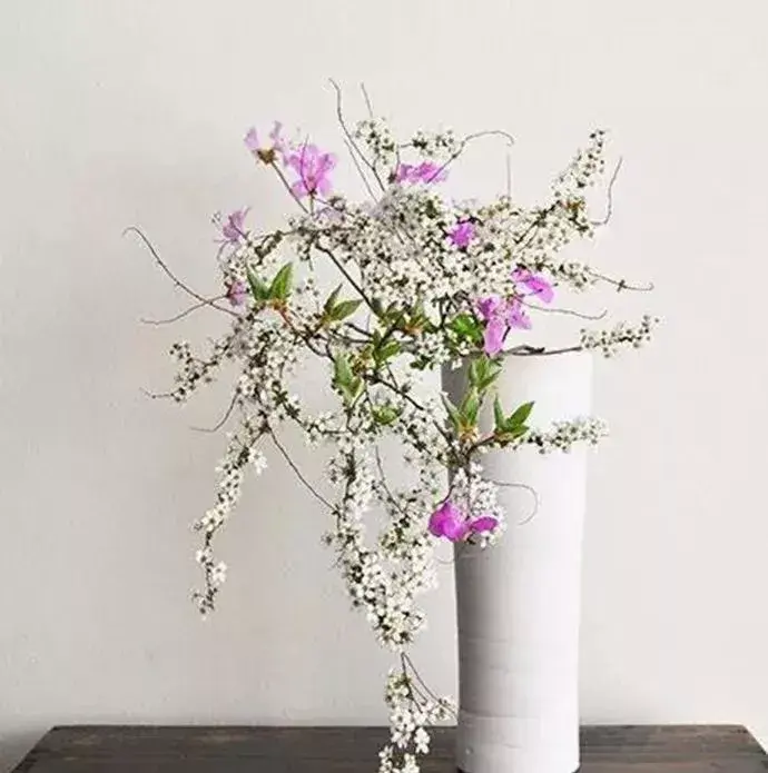 花艺 ∣ 完美花束不可少的7款超高颜值配草,你知道吗?