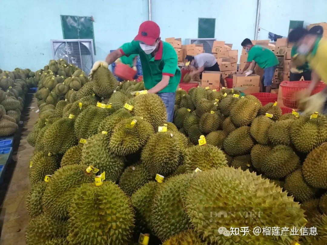 越南在中国比较好销售的产品-越南市场怎么样
