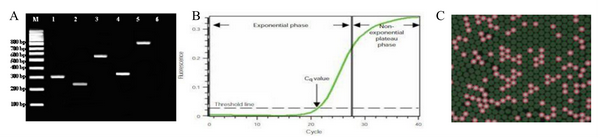 ddPCR介绍 - 知乎
