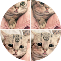 Zhihu profile picture for @phabe