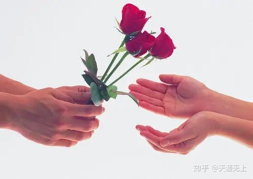 流产后多久可以在怀孕 3个月 6个月还是1年 知乎