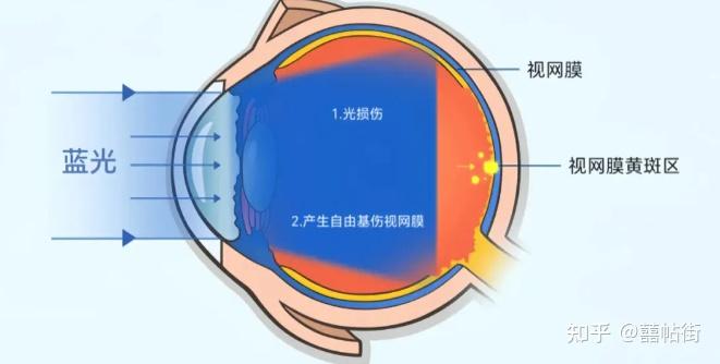 新手必看选购指南！护眼大路灯什么牌子好？2025护眼大路灯推荐，含书客、霍尼韦尔、飞利浦、米家、明基等热门护眼大路灯测评，内附干货知识，建议 ...