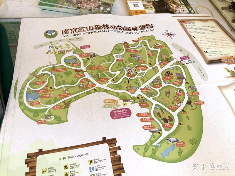 红山森林动物园地图图片