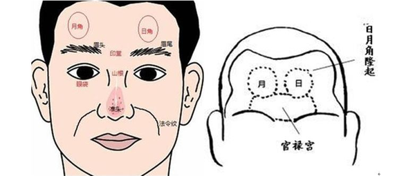 额头美学标准:什么样的额头才是好看的? - 知乎
