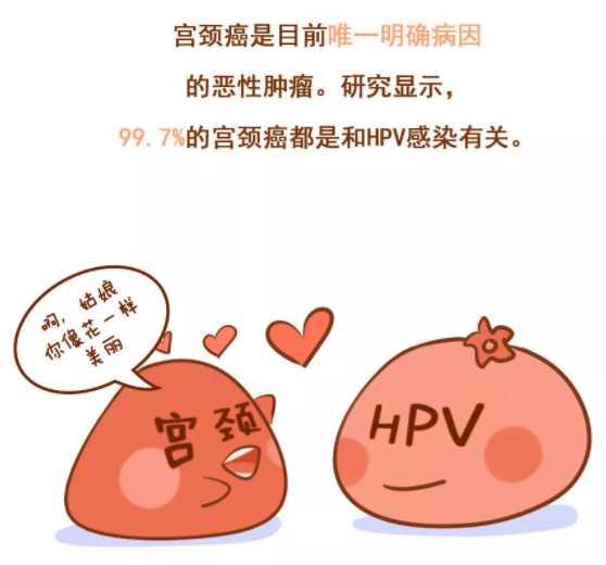 hpv转阴后还会复发吗 知乎