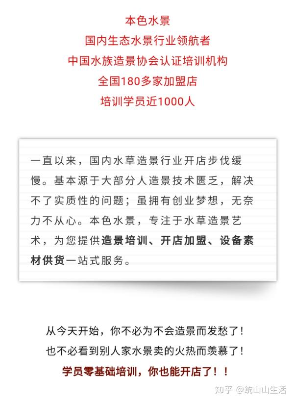 本色水景培训 全网最全水草知识 别等用的时候再找 知乎