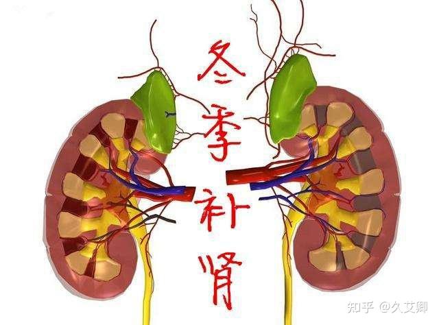 肾阳虚,补肾阳,每天艾灸(家里随身灸)与长跑,哪个效果更好? - 知乎