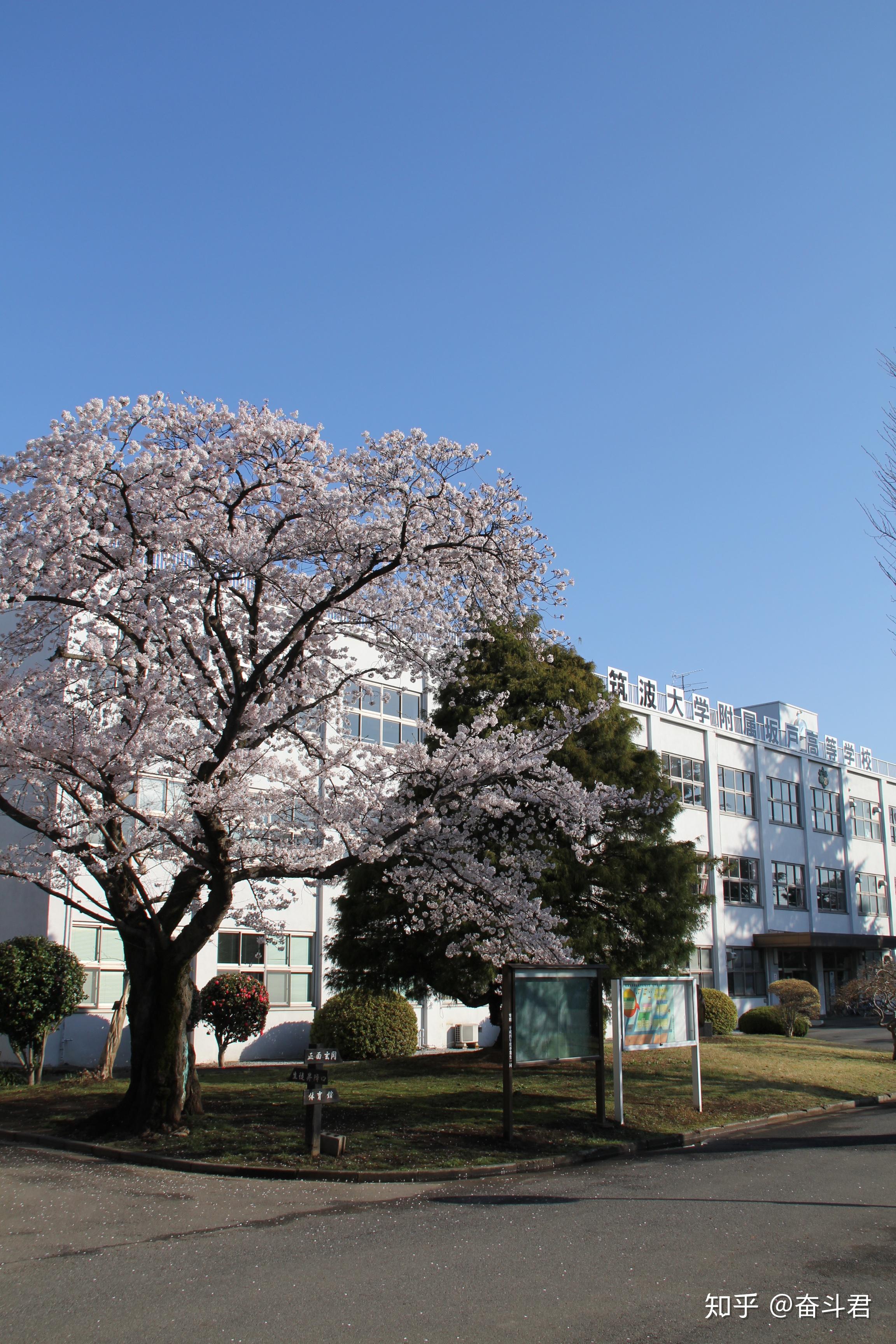 筑波学院大学图片