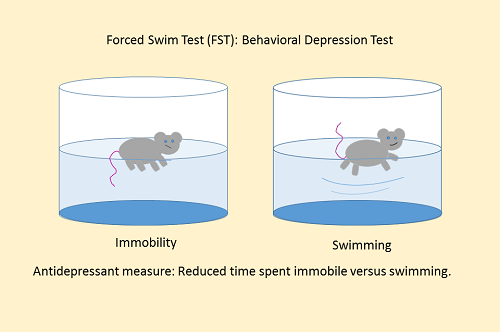 脑声常谈小鼠强迫游泳实验测试方法sop流程重磅发布