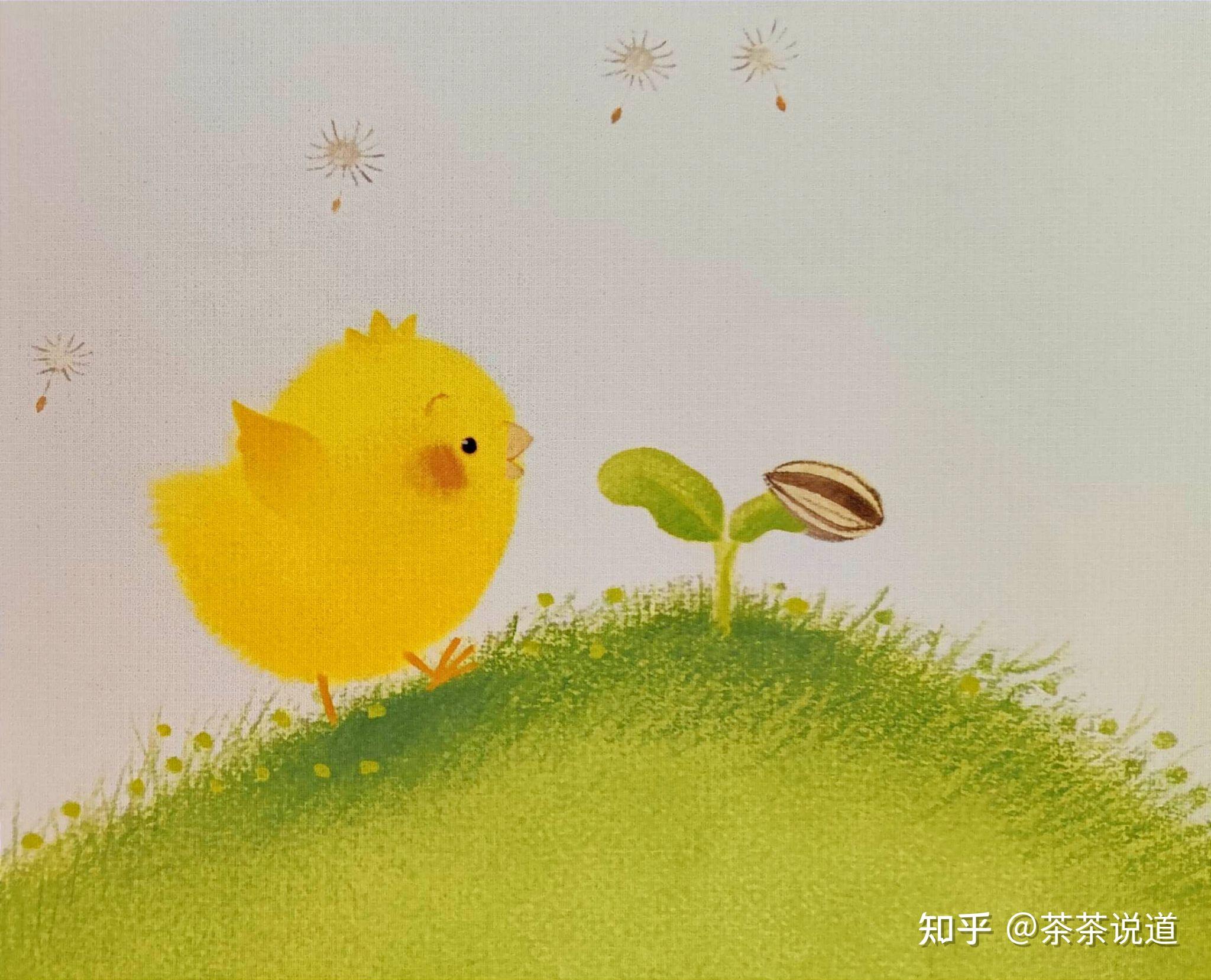 生命教育:《小鸡球球和向日葵》